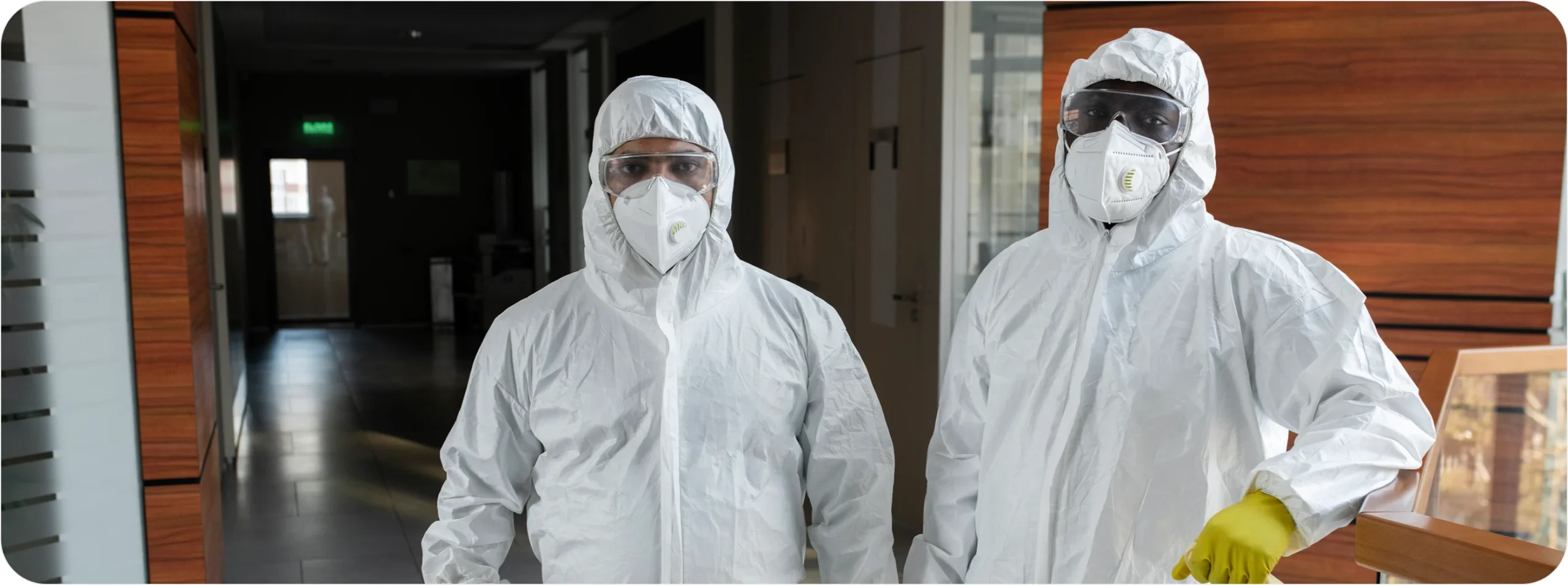 How to Start a Pest Control Business How to Start a Pest Control Business