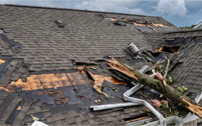 What Is a Storm Damage Expert? And How to Become a Trusted Storm Damage Specialist?